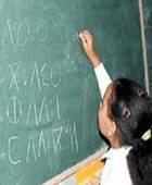 enseignement amazighe
